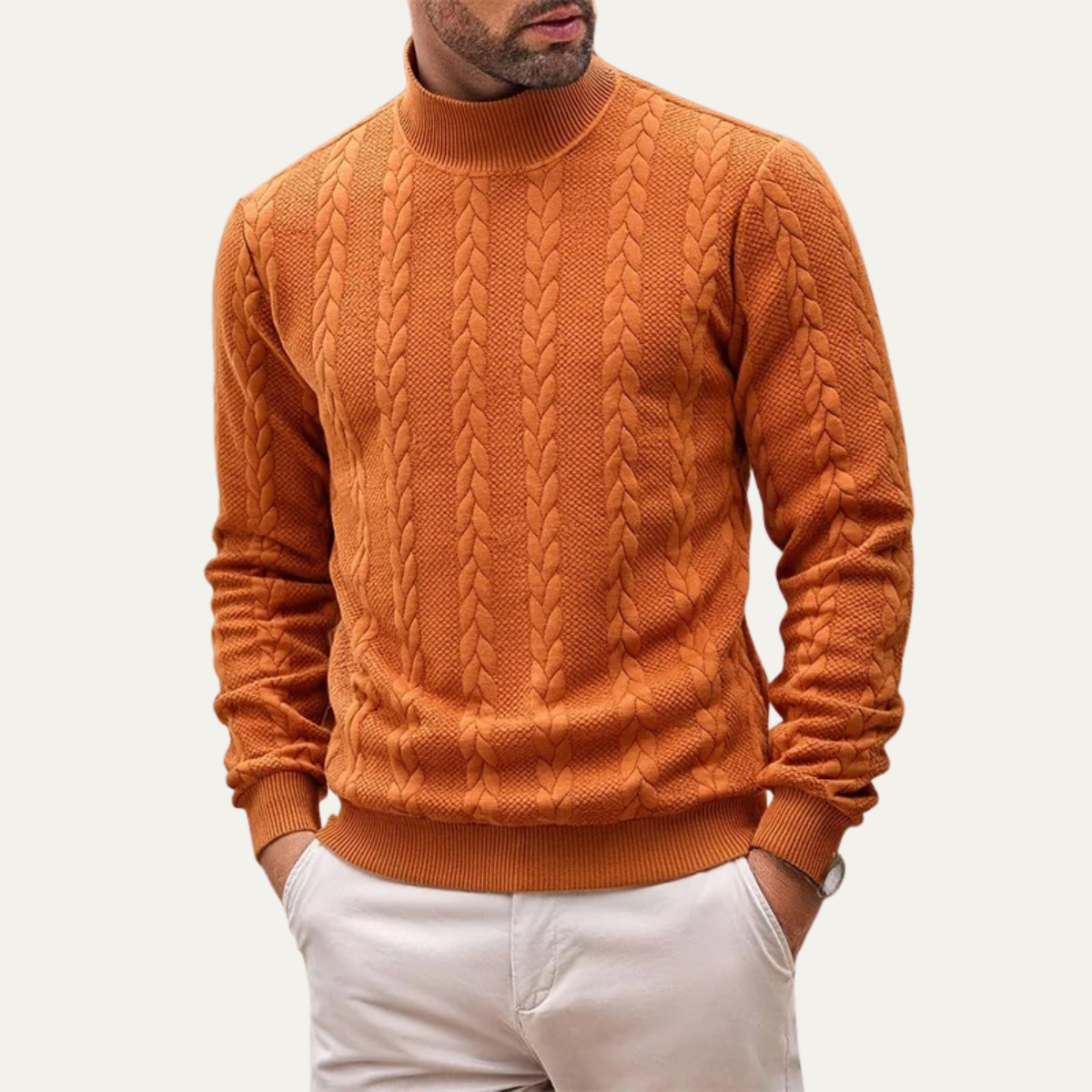 The Paestum Men’s Warm Ribbed Cable Knit Turtleneck Sweater